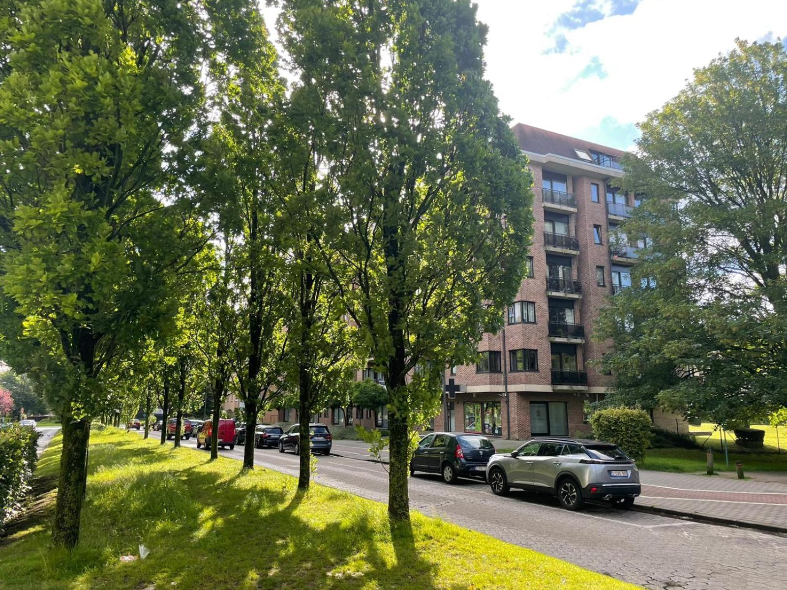 One Bedroom Fully Equipped Apartment With Terrace Bruselas Exterior foto
